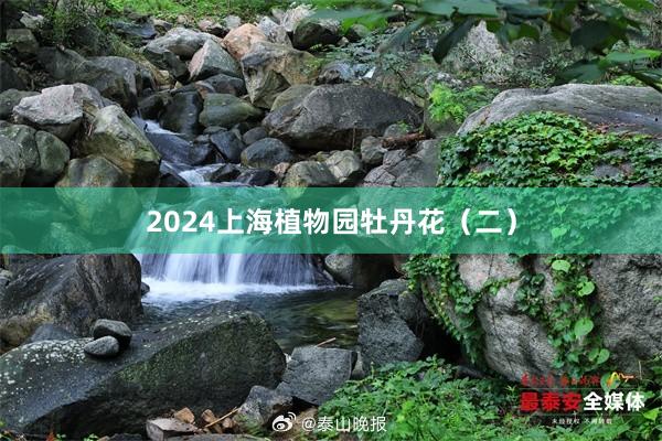 2024上海植物园牡丹花（二）