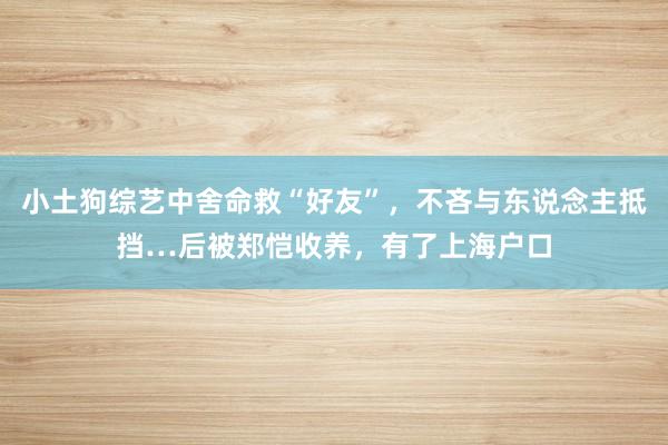 小土狗综艺中舍命救“好友”，不吝与东说念主抵挡…后被郑恺收养，有了上海户口