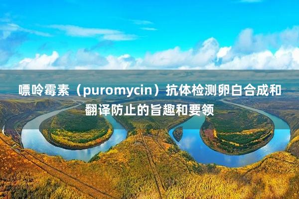 嘌呤霉素（puromycin）抗体检测卵白合成和翻译防止的旨趣和要领