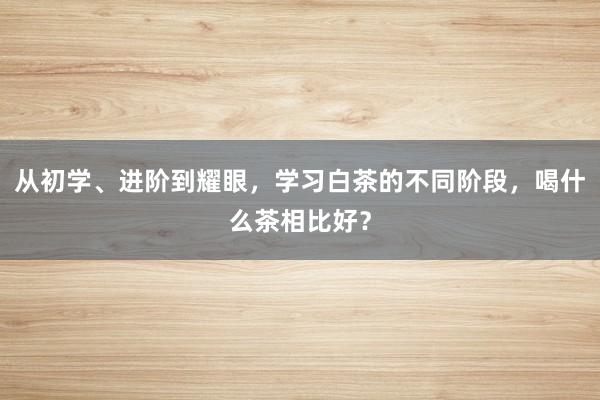 从初学、进阶到耀眼，学习白茶的不同阶段，喝什么茶相比好？