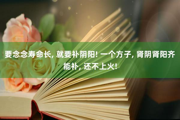 要念念寿命长, 就要补阴阳! 一个方子, 肾阴肾阳齐能补, 还不上火!