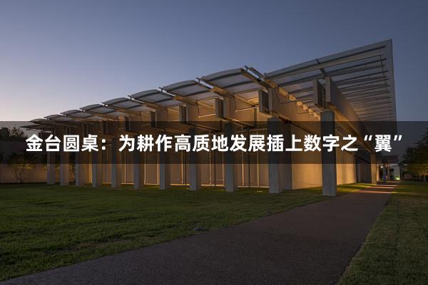 金台圆桌：为耕作高质地发展插上数字之“翼”