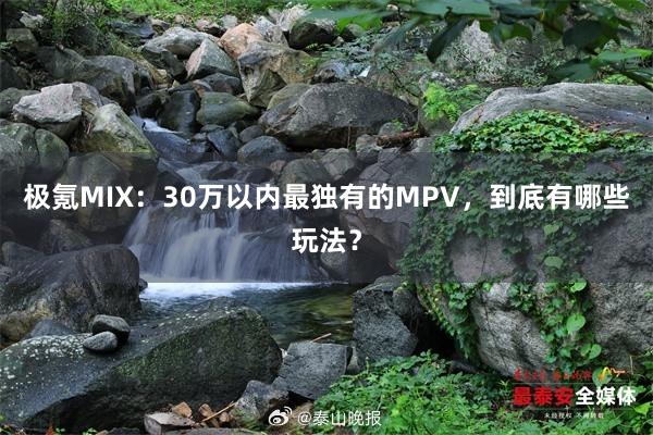 极氪MIX：30万以内最独有的MPV，到底有哪些玩法？