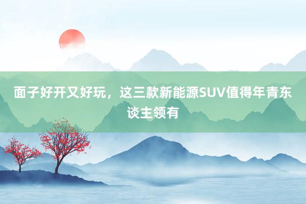 面子好开又好玩，这三款新能源SUV值得年青东谈主领有